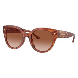 New COACH CR612 Havana Round HC8393U 5774/13 Sunglasses Women